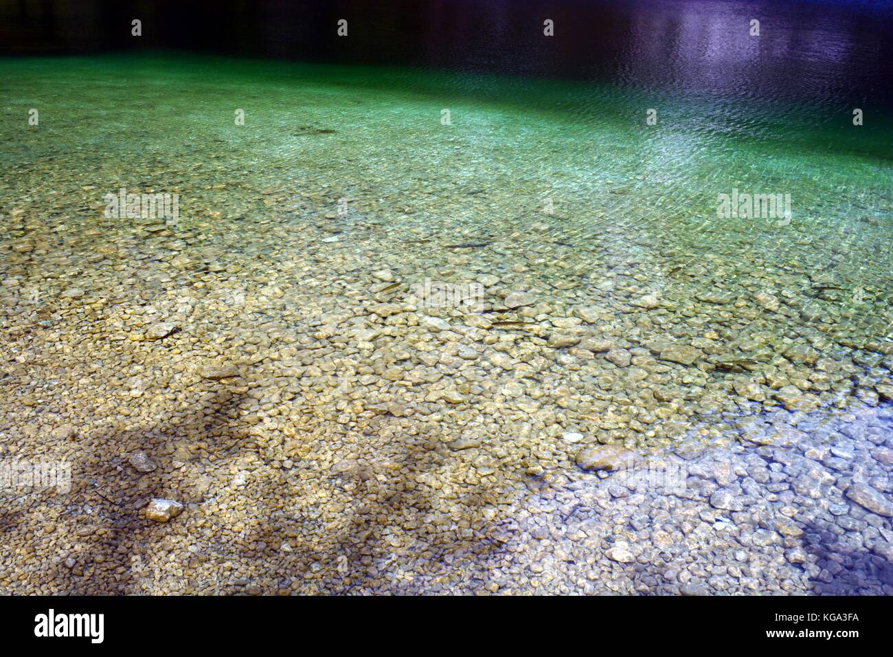 Invitanti acque di un verde chiaro sulle rive del lago di Bohinj, Slovenia Foto Stock
