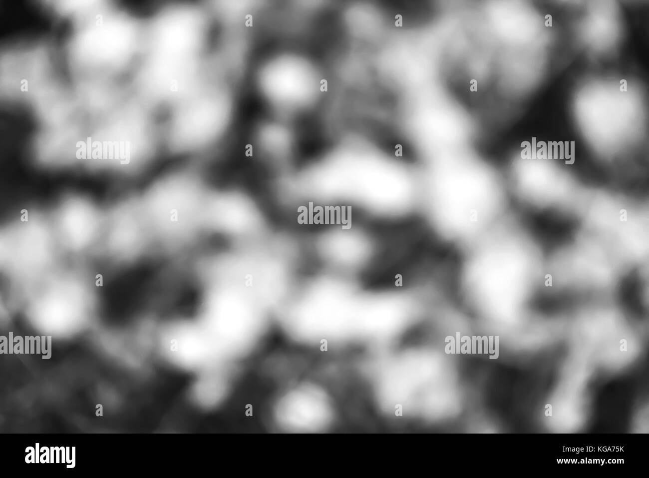 Le foglie in autunno parco foresta di autunno è bellissimo. yello Foto Stock