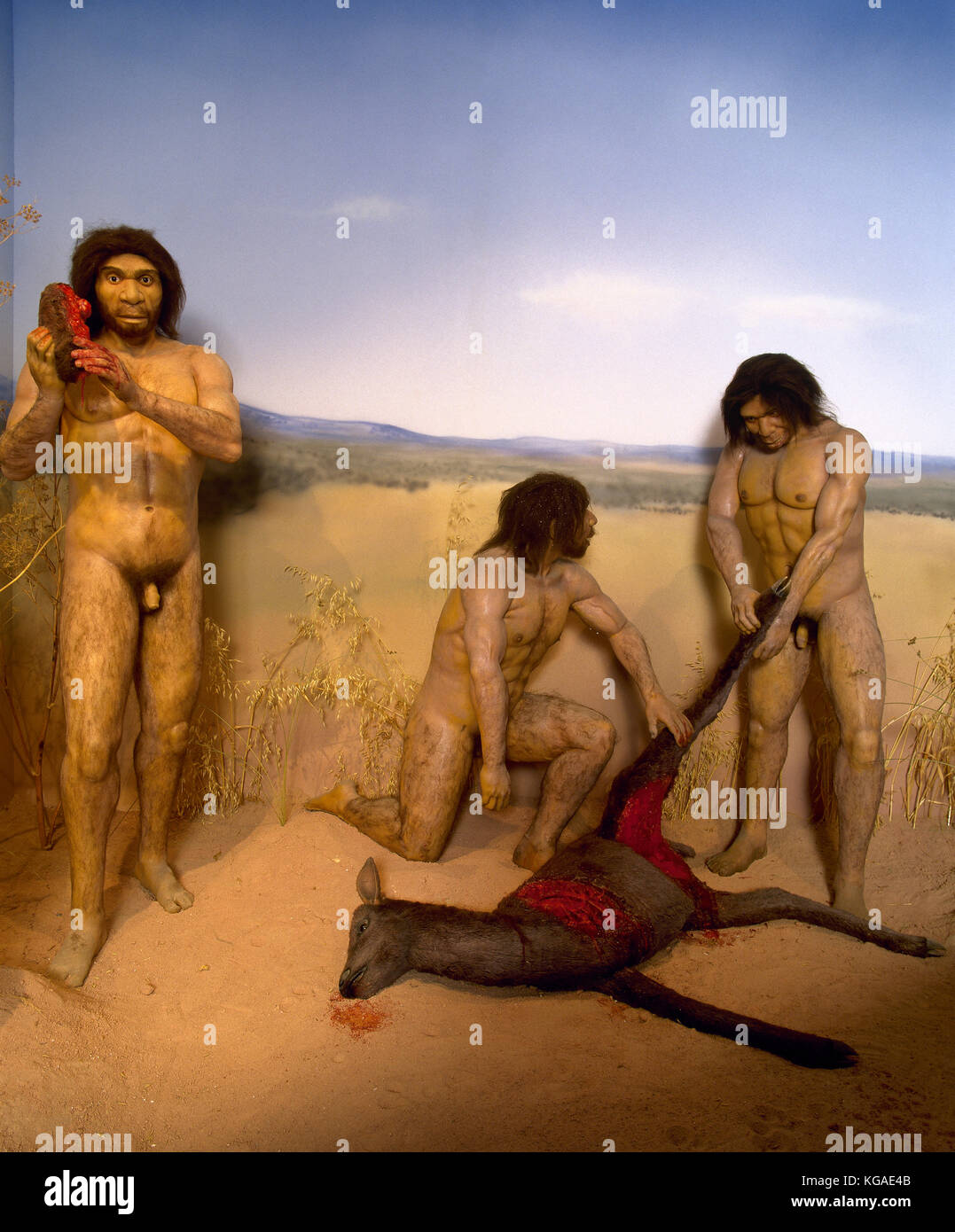Evoluzione umana. homo antecessor. estinta la specie umana. 1.200 800.000 anni fa la scena di caccia. Foto Stock