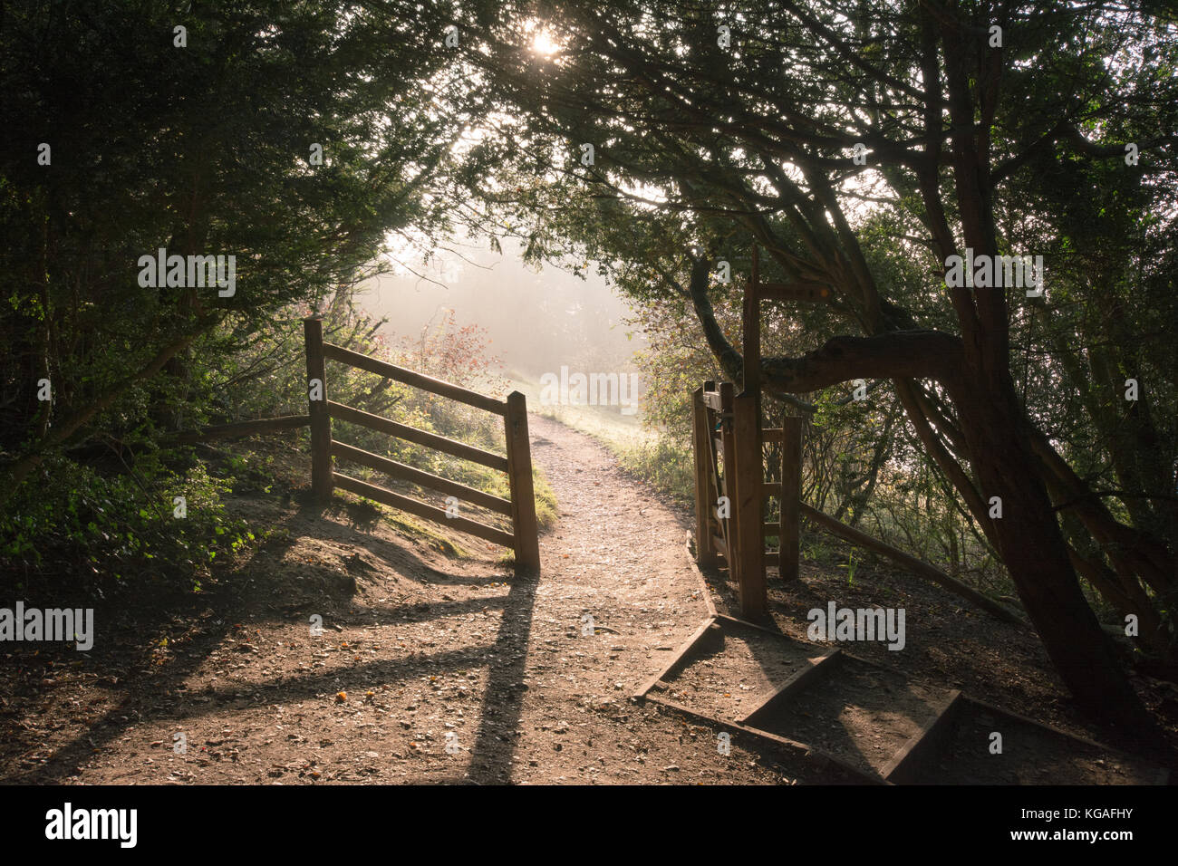 Il sentiero e gateway sul North Downs al Box Hill su un nebbioso ma soleggiata mattina autunnale Foto Stock