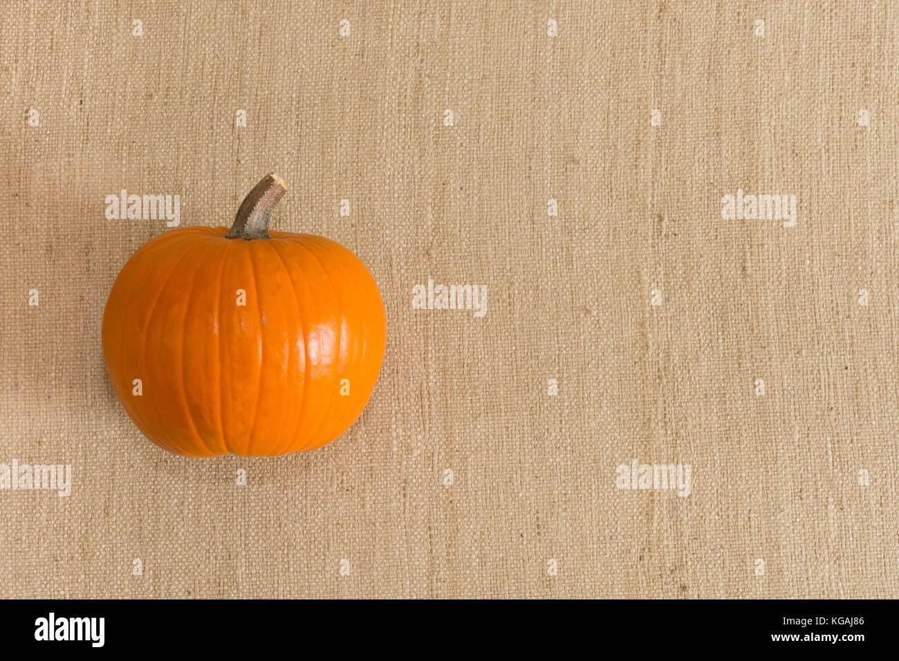 Un organico di zucca zucchero su una superficie strutturata tan tessuto. Sfondo immagine ha uno spazio di copia. Foto Stock