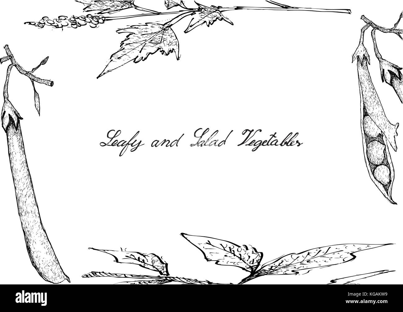 Insalata di verdure, illustrazione telaio del lato bozzetto freschi e deliziosi a foglia verde e insalata isolati su sfondo bianco. Illustrazione Vettoriale