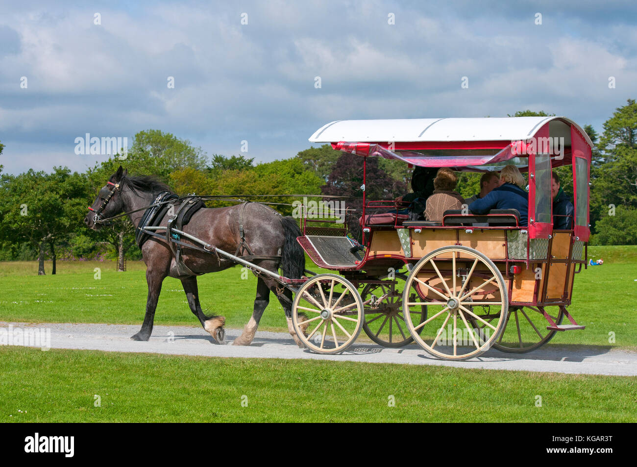 Jaunting auto con i turisti di Muckross House e giardini, Parco Nazionale di Killarney, nella contea di Kerry, Irlanda Foto Stock