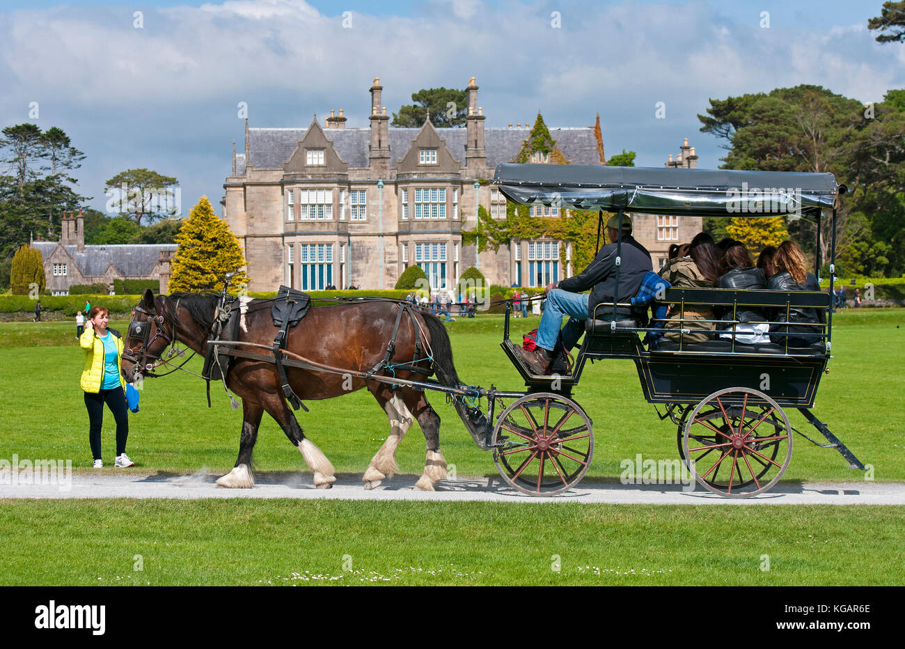 Jaunting auto con i turisti di Muckross House e giardini, Parco Nazionale di Killarney, nella contea di Kerry, Irlanda Foto Stock