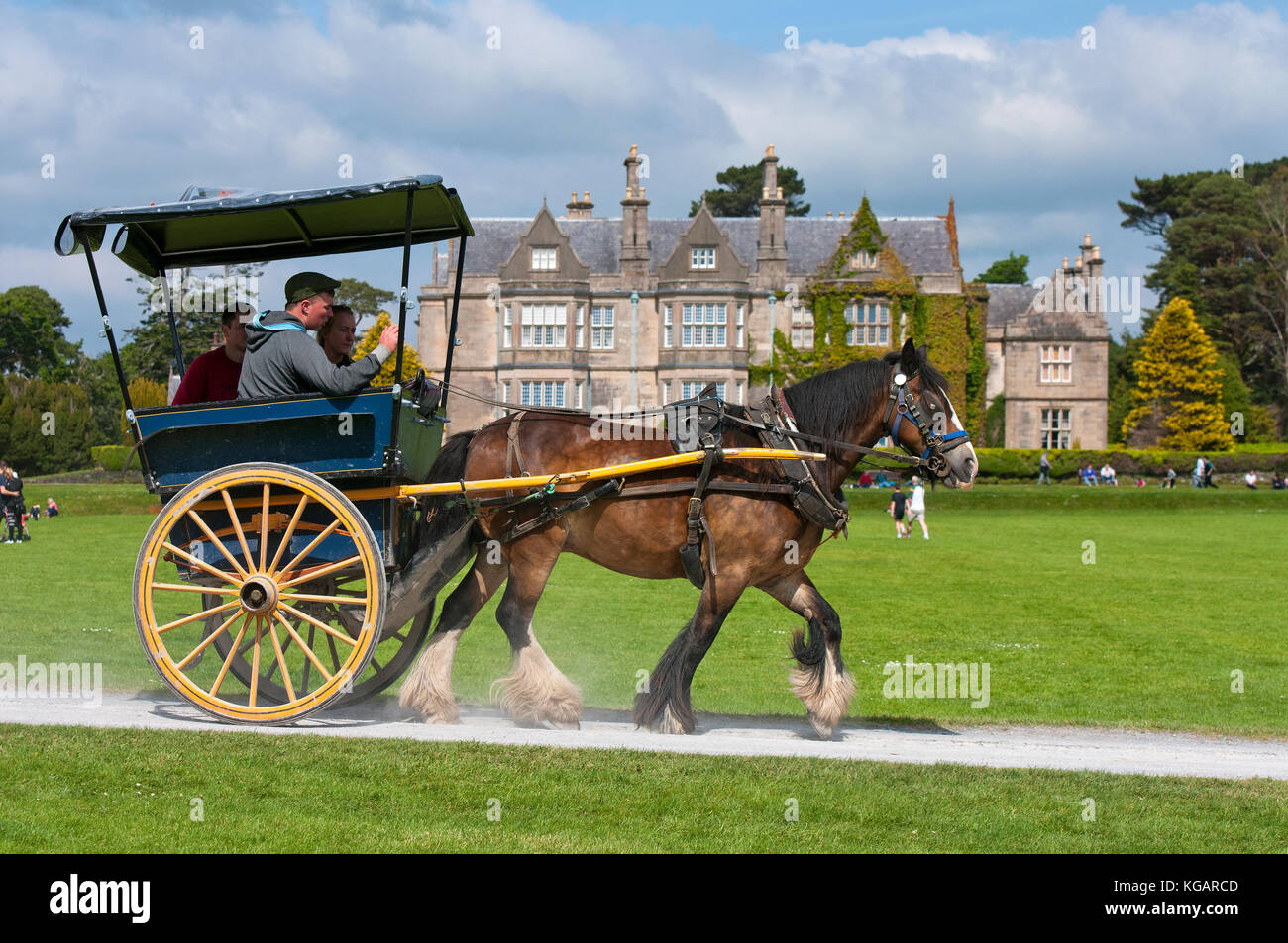 Jaunting auto con i turisti di Muckross House e giardini, Parco Nazionale di Killarney, nella contea di Kerry, Irlanda Foto Stock