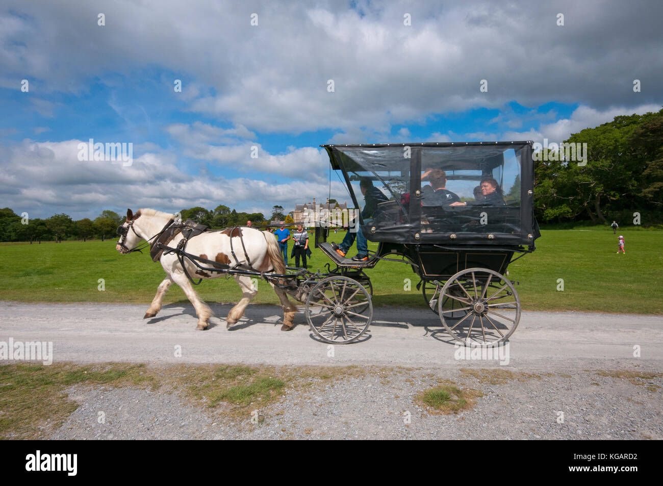 Jaunting auto con i turisti di Muckross House e giardini, Parco Nazionale di Killarney, nella contea di Kerry, Irlanda Foto Stock
