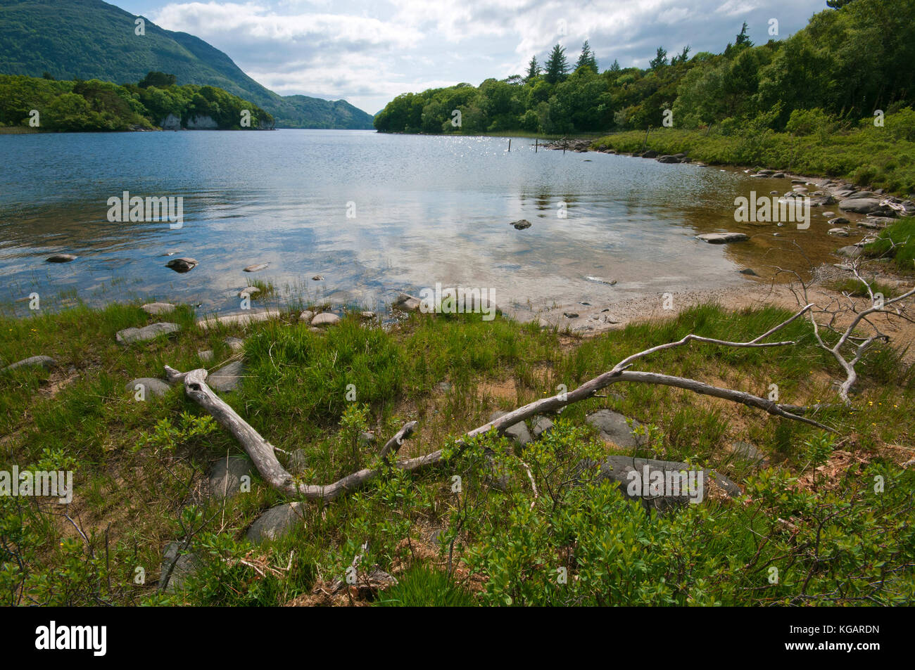 Muckross Lake, il Parco Nazionale di Killarney, nella contea di Kerry, Irlanda Foto Stock