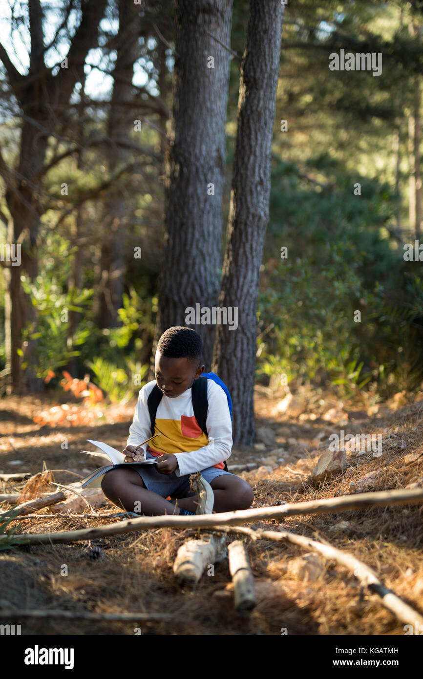 Ragazzo che studiano nella foresta in una giornata di sole Foto Stock