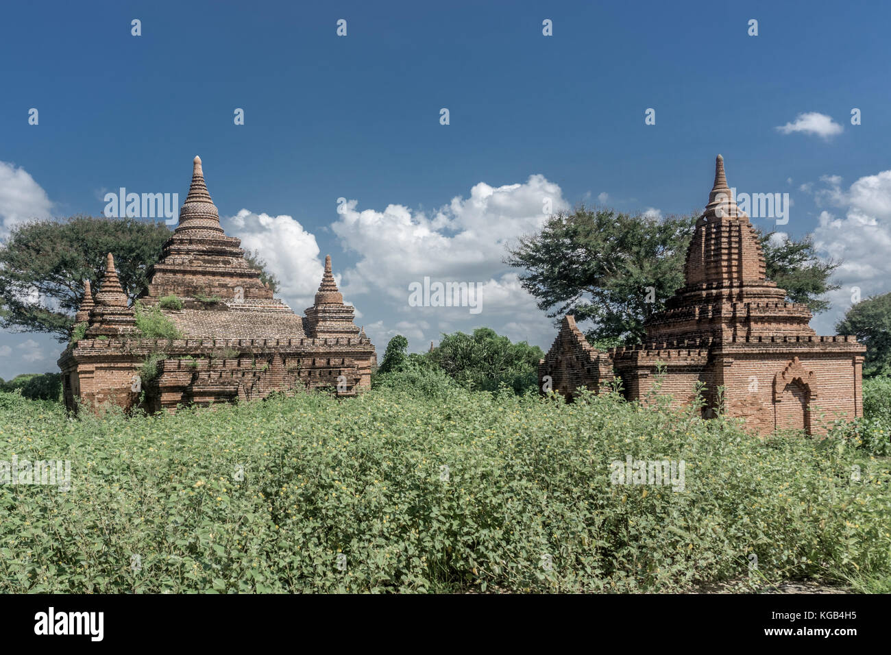 Bagan, Myanmar pagode (templi) Foto Stock