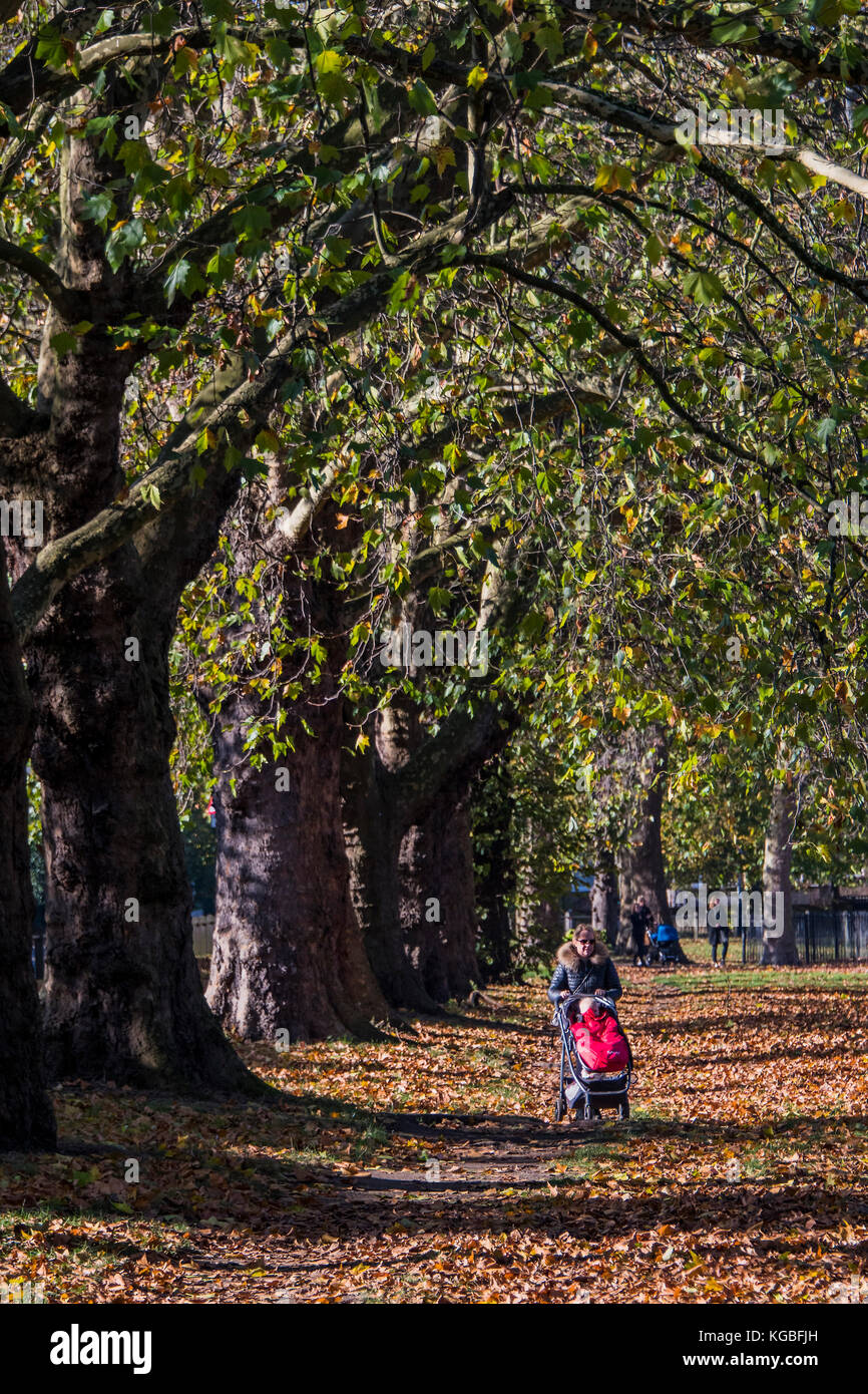 Londra, Regno Unito. 6 Nov, 2017. Il tempo era perfetto per prendere il bambino per una passeggiata - Foglie di autunno ancora sugli alberi ma abbondante sul terreno in una mattina fresca. Londra 06 novembre 2017. Credito: Guy Bell/Alamy Live News Foto Stock