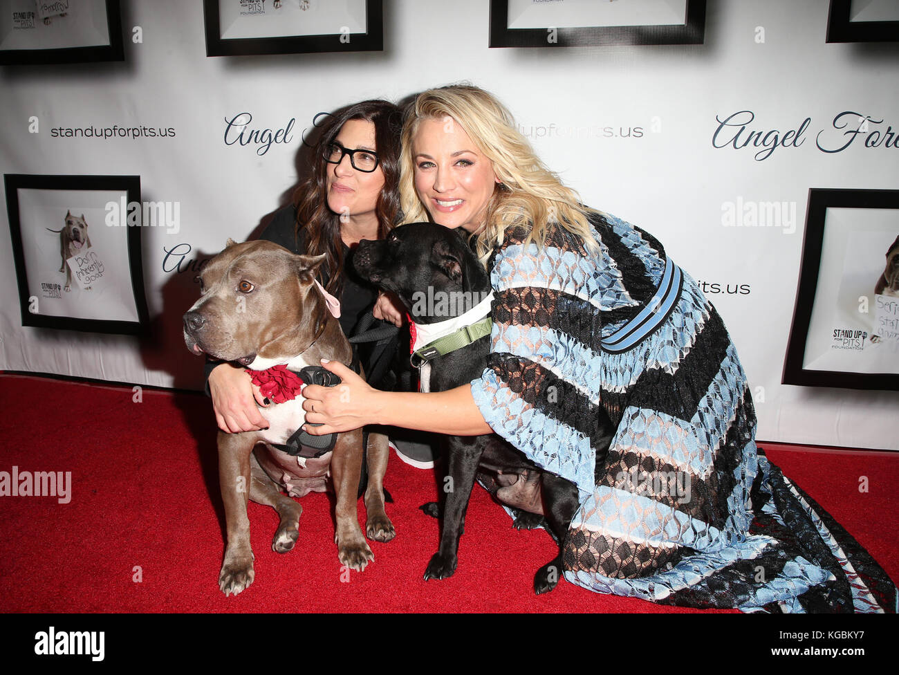 Hollywood, California, Stati Uniti. 5 novembre 2017. Josh Wolf05 novembre 2017 - Hollywood, California - Rebecca Corry, Kaley Cuoco. 7th Annual Stand Up for Pits tenutosi ad Avalon Hollywood. Credito fotografico: F. Sadou/AdMedia credito: F. Sadou/AdMedia/ZUMA Wire/Alamy Live News Foto Stock