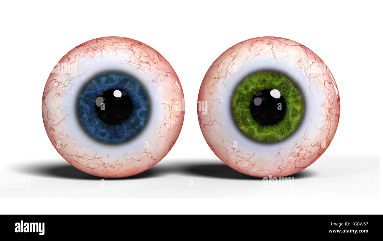 Due realistiche umano bulbi oculari con il blu e il verde iris isolati su sfondo bianco (3d rendering) Foto Stock