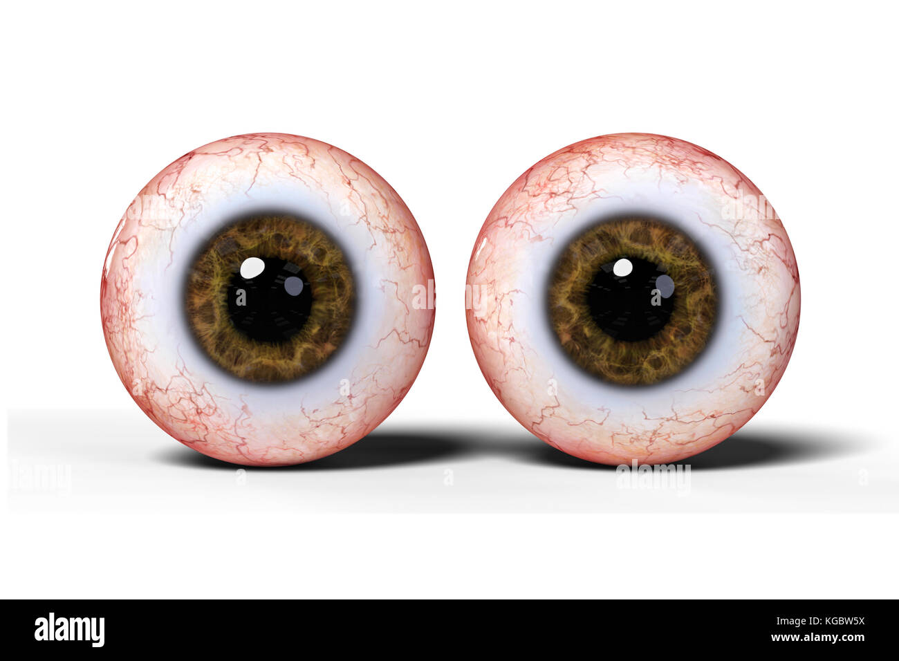 Due realistiche umano gli occhi con iride marrone, isolato su sfondo bianco (3d'illustrazione) Foto Stock