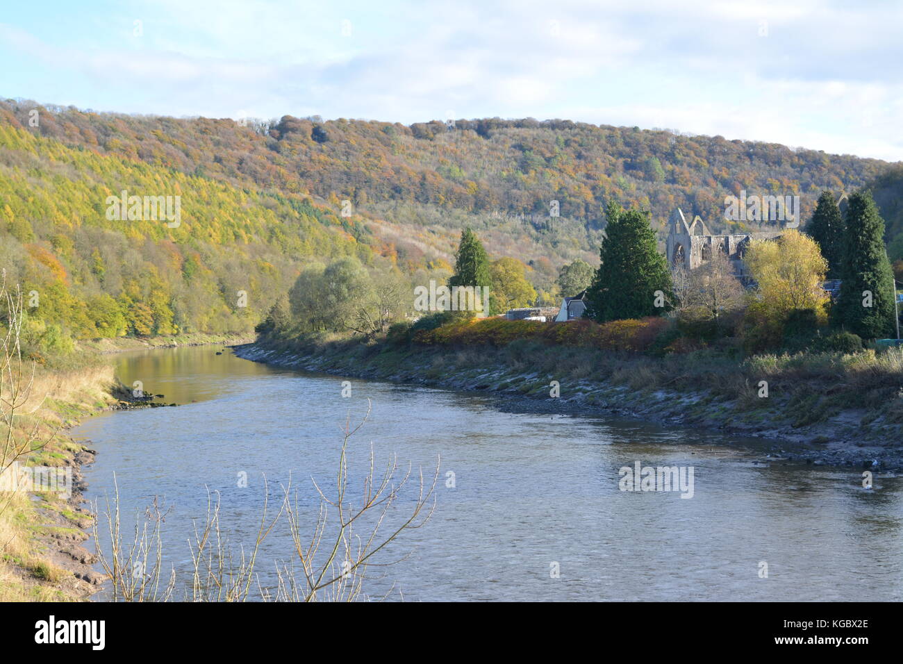 Una vista sul fiume Wye verso Tintern Abbey galles monmouthshire ri campagna monasteri rovine della grande all'aperto Foto Stock