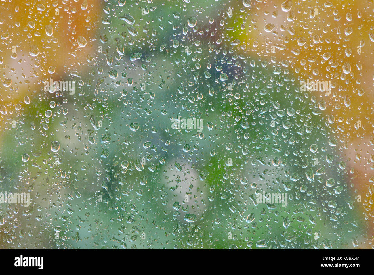 Gocce d'acqua sul vetro della finestra con la natura in background Foto Stock