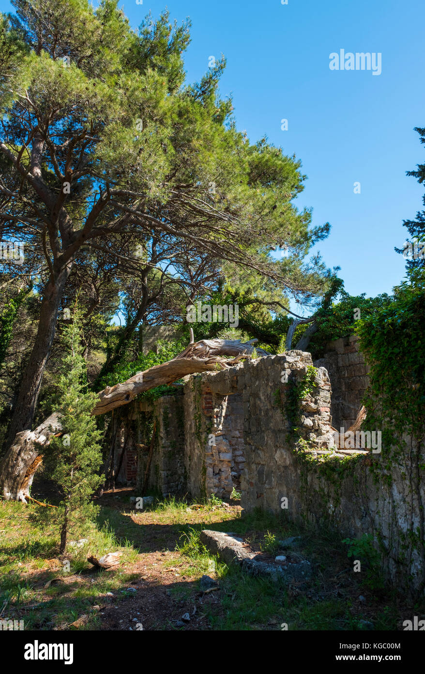 Edifici in rovina nei pressi del villaggio di bosanka sul monte Srd, vicino a Dubrovnik, Croazia, Europa Foto Stock
