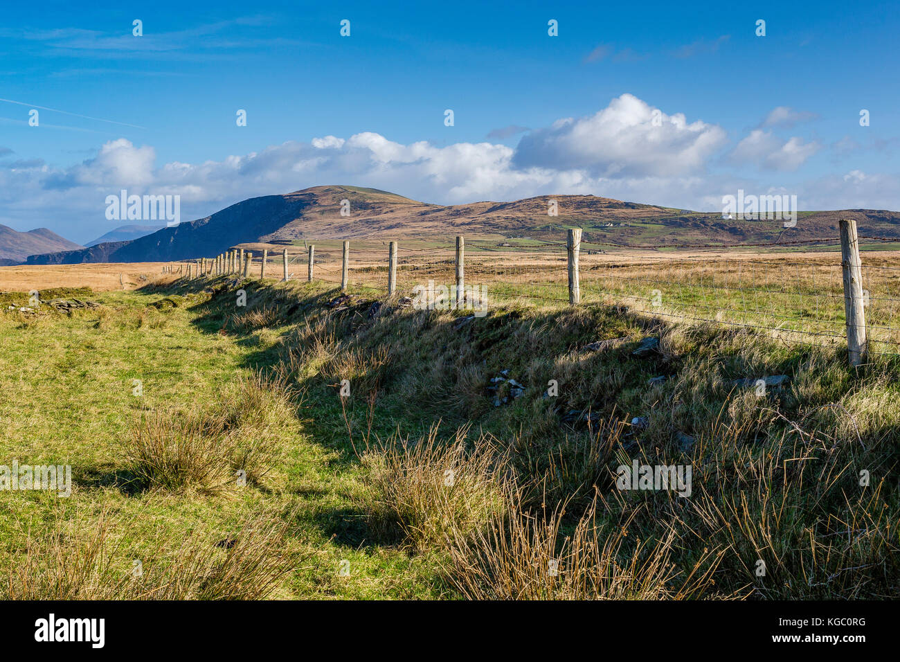 Filo spinato e posti lungo il fosso e campo, Valentia Island, nella contea di Kerry Irlanda Foto Stock