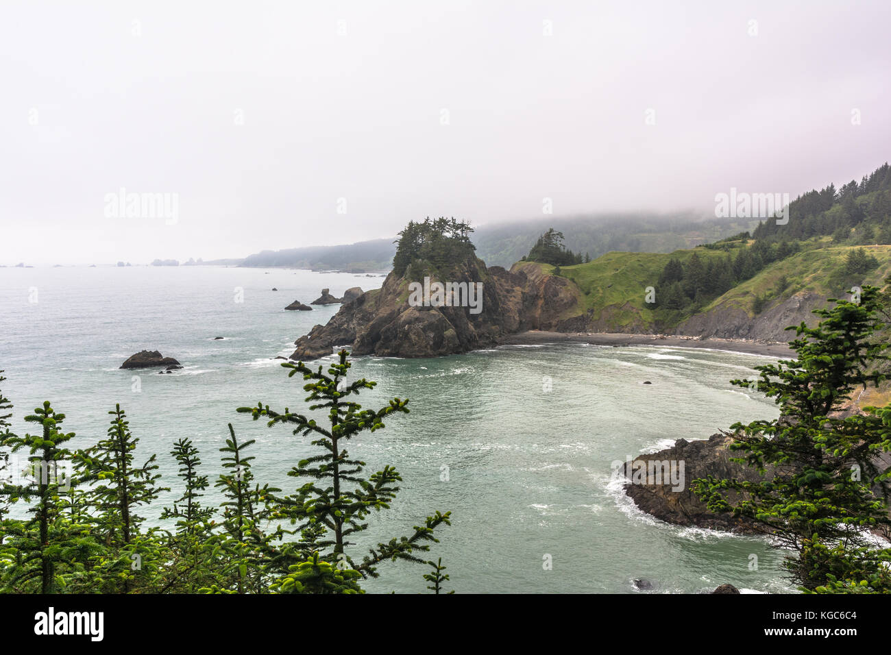 La costa vista dall arch rock area, Oregon Foto Stock