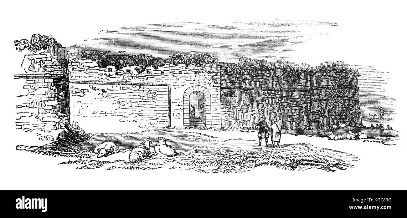 Pecore al di fuori del medievale Castello di Pevensey, precedentemente noto come un romano di Saxon Shore fort a Pevensey nella contea inglese di East Sussex. Costruito intorno al 290 D.C. e conosciuto dai Romani come Anderitum. Il fort sembra essere stata la base per una flotta chiamato Classis Anderidaensis e parte di un romano sistema difensivo a guardia del British e coste galliche contro i pirati sassoni. Foto Stock