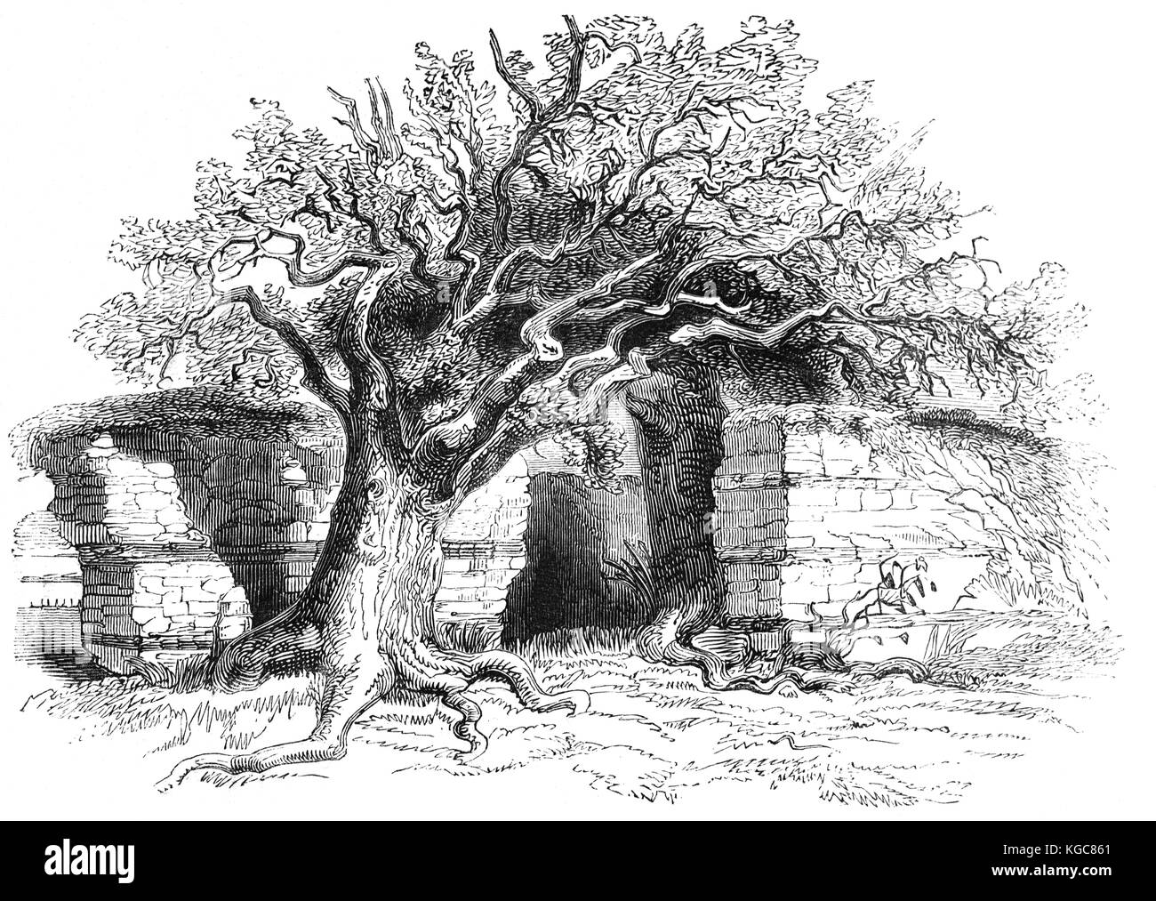 La parete nord del Silchester vicino a Basingstoke Hampshire la maggior parte notevole per la città romana di Calleva Atrebatum, un'età del ferro insediamento prima occupata dai Romani in circa AD 45. Esso ospita quello che è considerato il meglio conservato muro romano in Gran Bretagna. Foto Stock