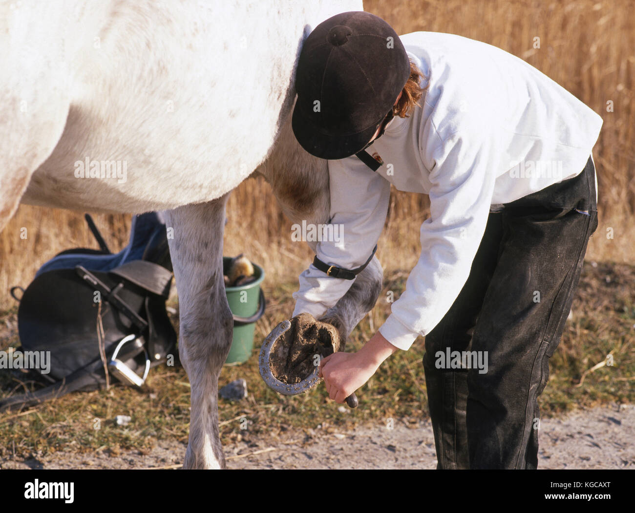 Ragazza con cavallo preparare per l'equitazione tripp 2009 Foto Stock