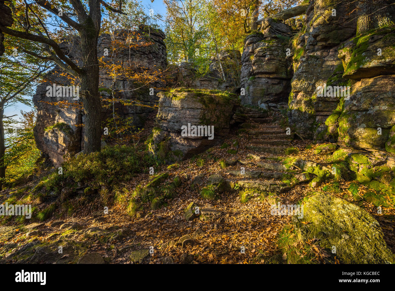 Passeggiata autunnale tra le rocce, la roccia di Battert sopra la città termale di Baden-Baden, periferia della Foresta Nera, Germania Foto Stock
