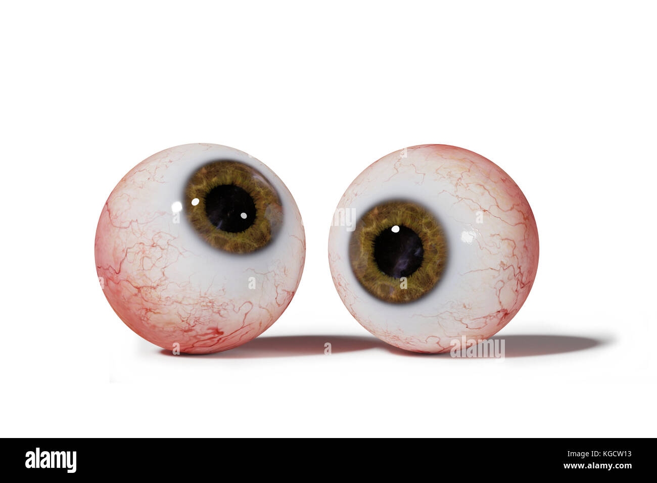 Due realistiche umano bulbi oculari con iride marrone, isolato su sfondo bianco (3d'illustrazione) Foto Stock