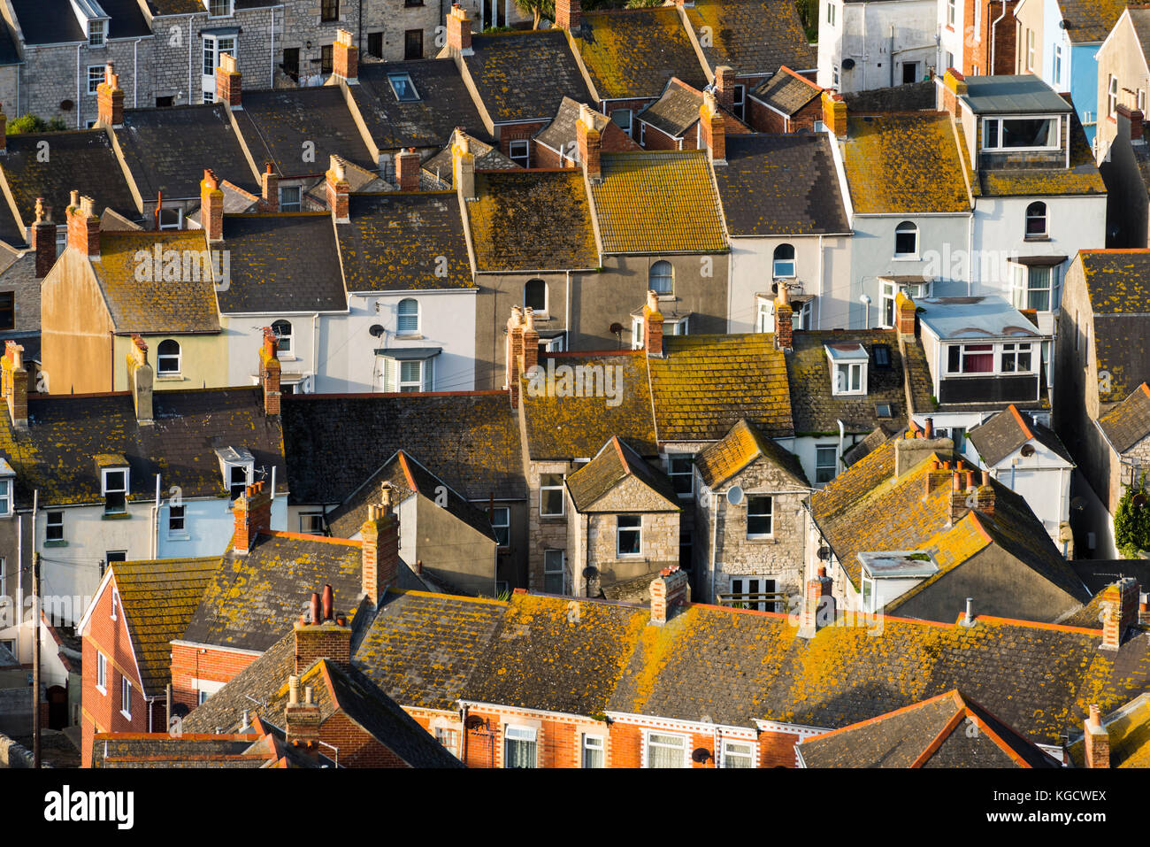 Una vista di case e tetti a fortuneswell sull'isola di Portland nel Dorset. picture credit: Graham hunt/alamy Foto Stock