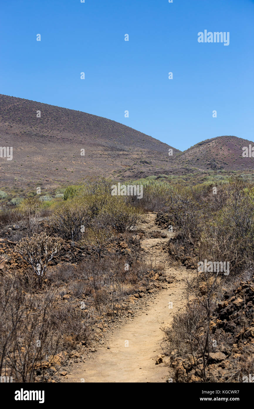 Percorso attraverso l'area vulcanica dell'isola di Tenerife, Canarie, Spagna, Europa Foto Stock