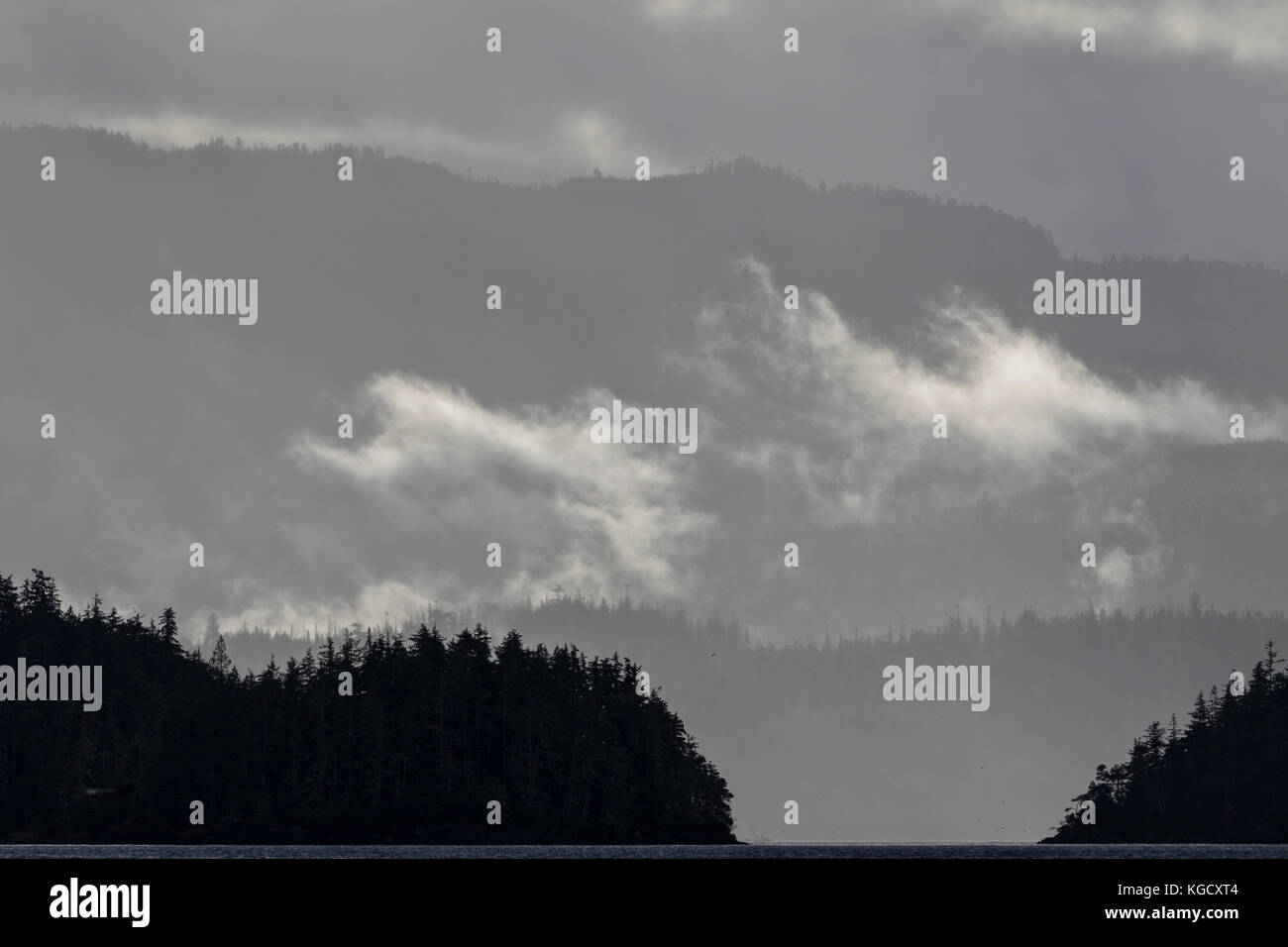 Paesaggi costieri su un nebbioso giorno cadono in ottobre lungo il nord isola di Vancouver, British Columbia, Canada Foto Stock