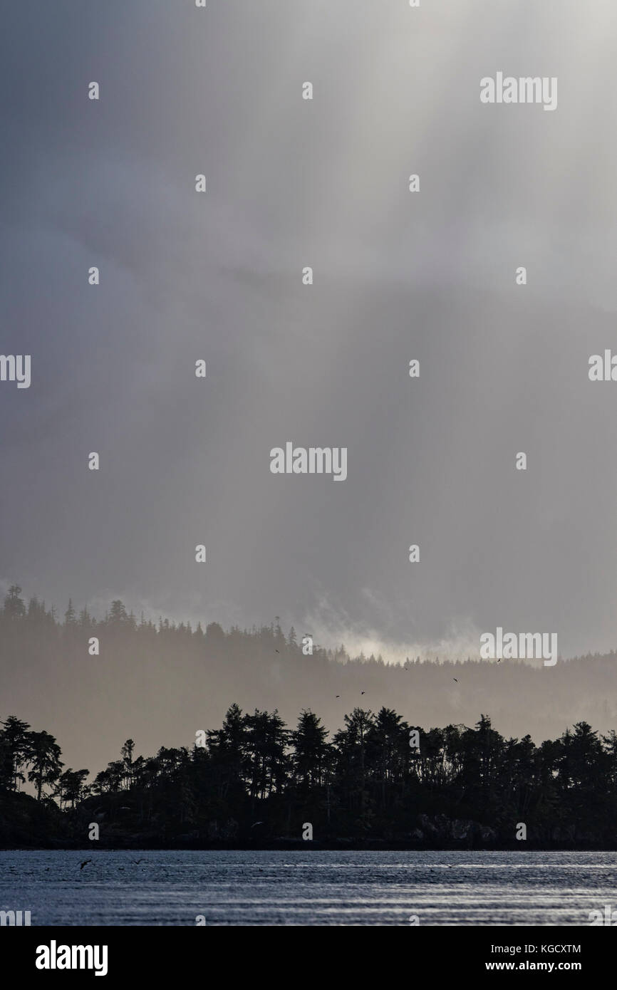 Raggi di sole a picco attraverso le nuvole e la nebbia lungo il nord dell'isola di Vancouver litorale, British Columbia, Canada. Foto Stock