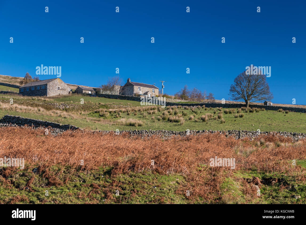 Nord Pennine paesaggio, Lodge Syke Agriturismo vicino a Middeton-in-Teesdale, Inghilterra del Nord Est in autunno di sole e di un profondo blu cielo chiaro con spazio di copia Foto Stock