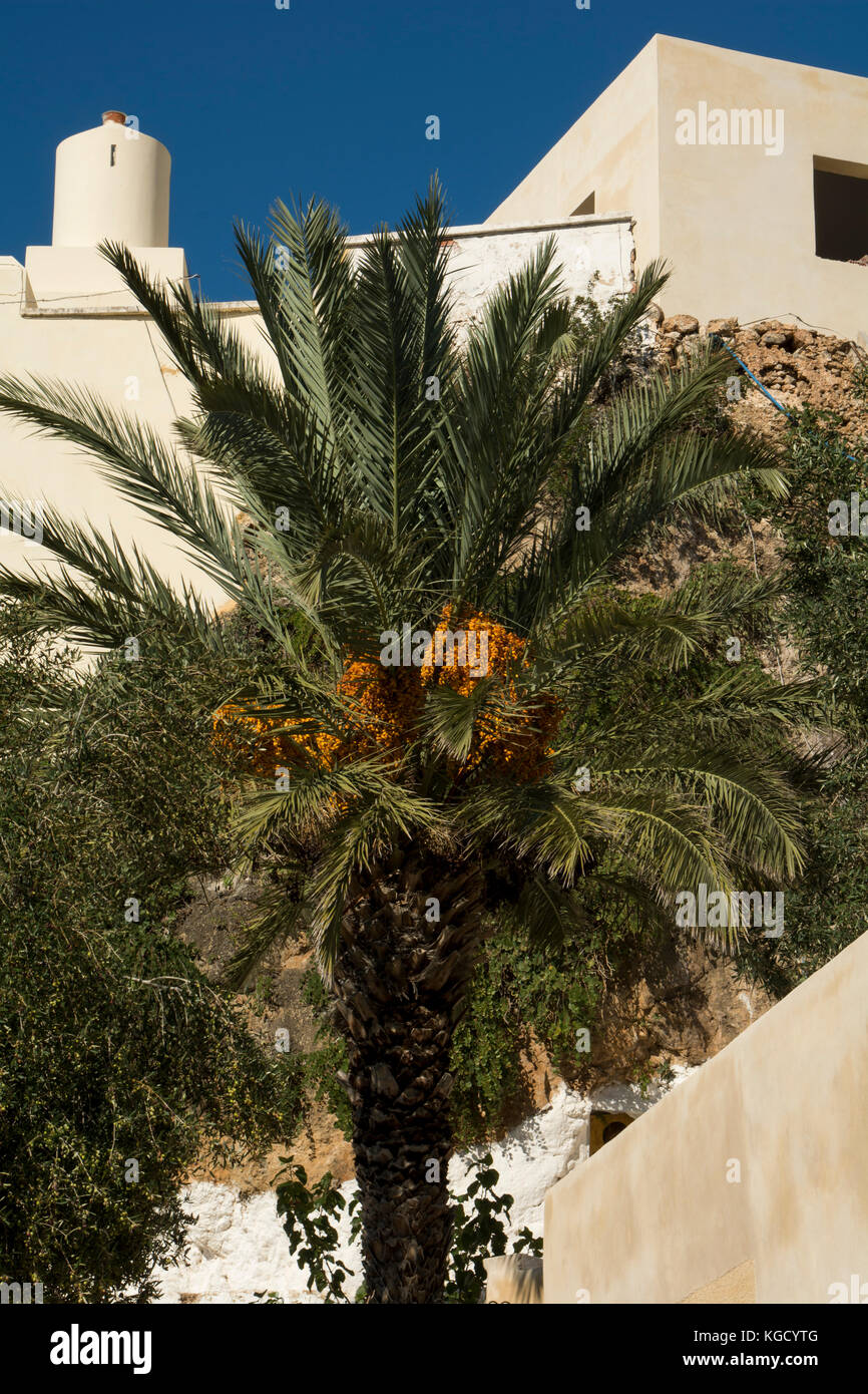 Chrysoskalitissa monastero fu fondato nel XVII secolo sulla costa occidentale di Creta. Das Chrysoskalitissa-Kloster an der Westküste Kretas wurde im Foto Stock