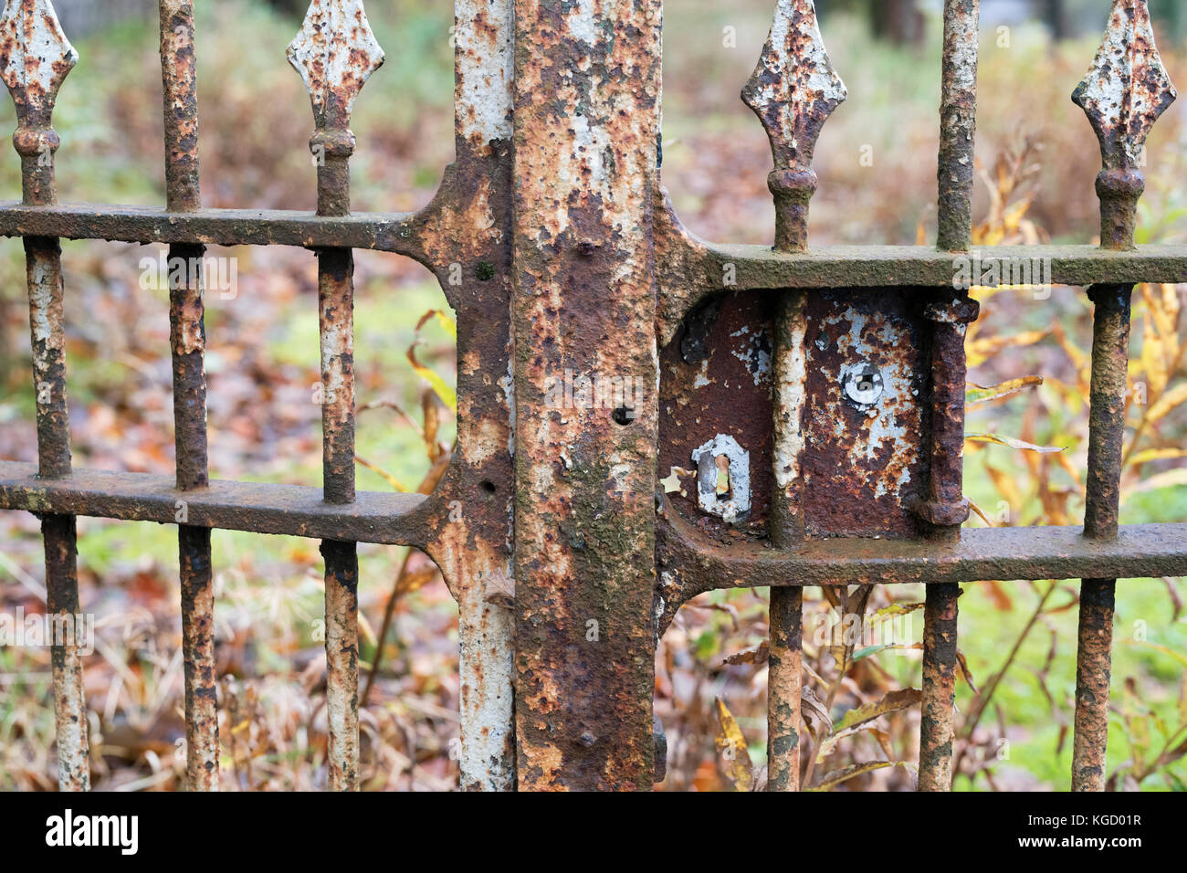 Vecchio arrugginito cancelli in ferro astratta. Scottish Borders, Scozia Foto Stock