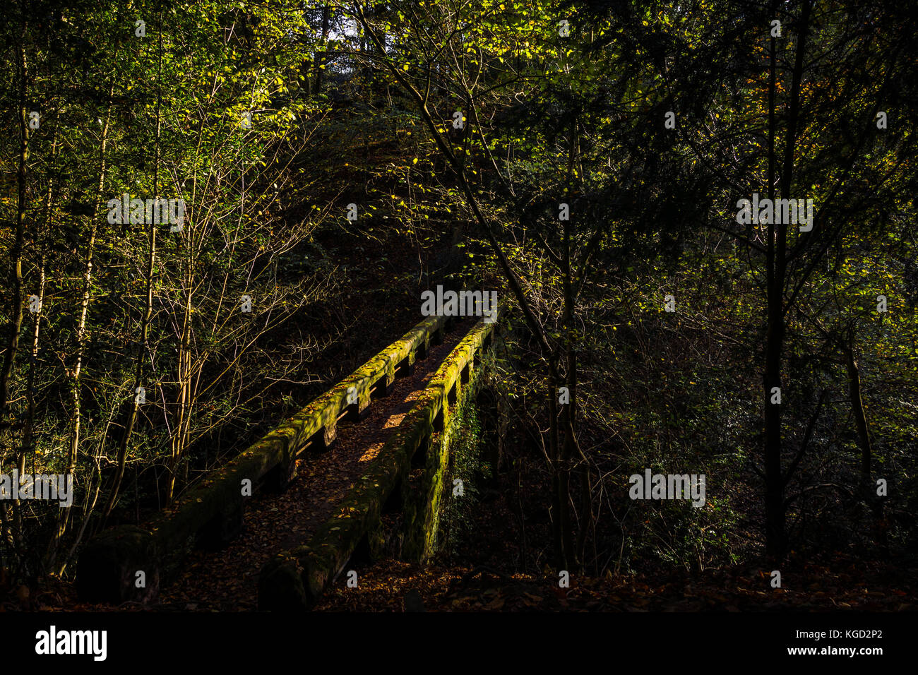 Il vecchio ponte sul fiume Bollin, REGNO UNITO Foto Stock