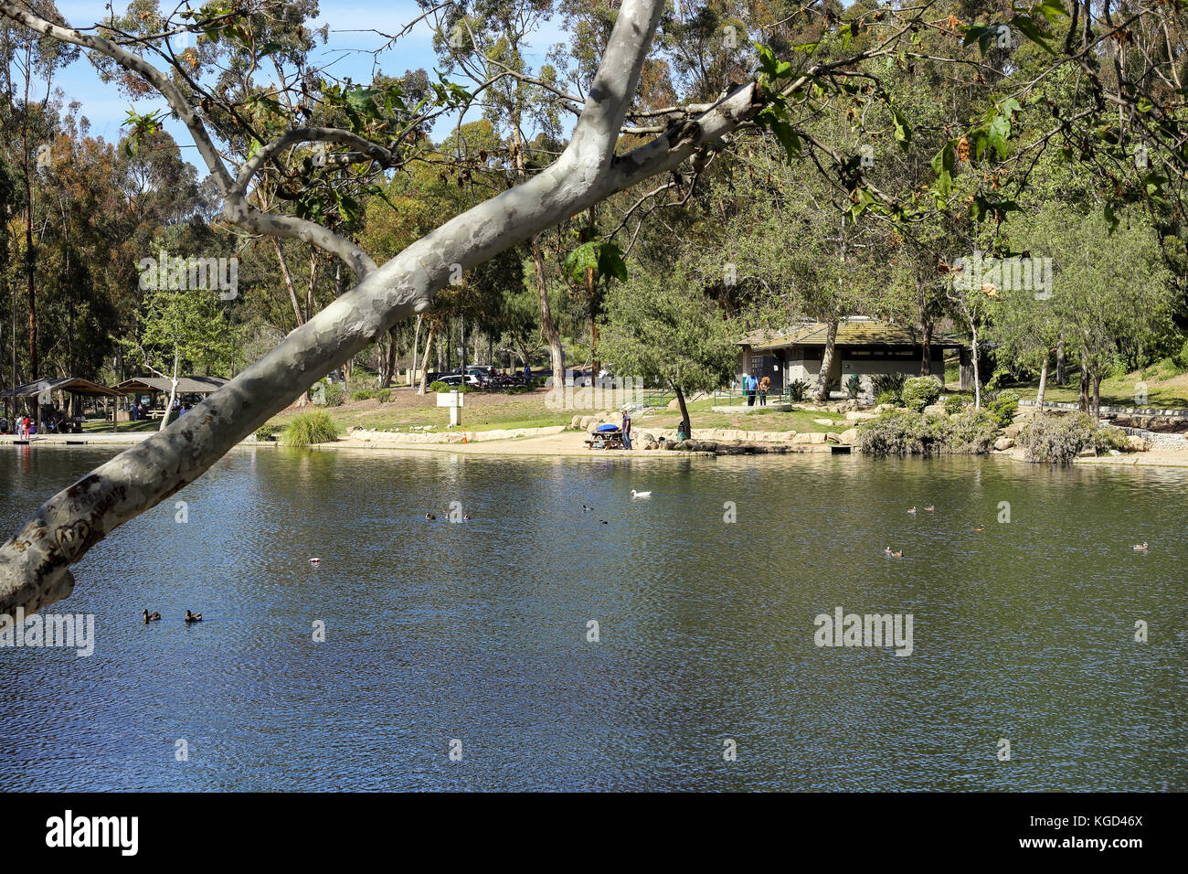 Pomeriggio rilassante a kenneth hahn membro Recreation Area, los angeles california Foto Stock