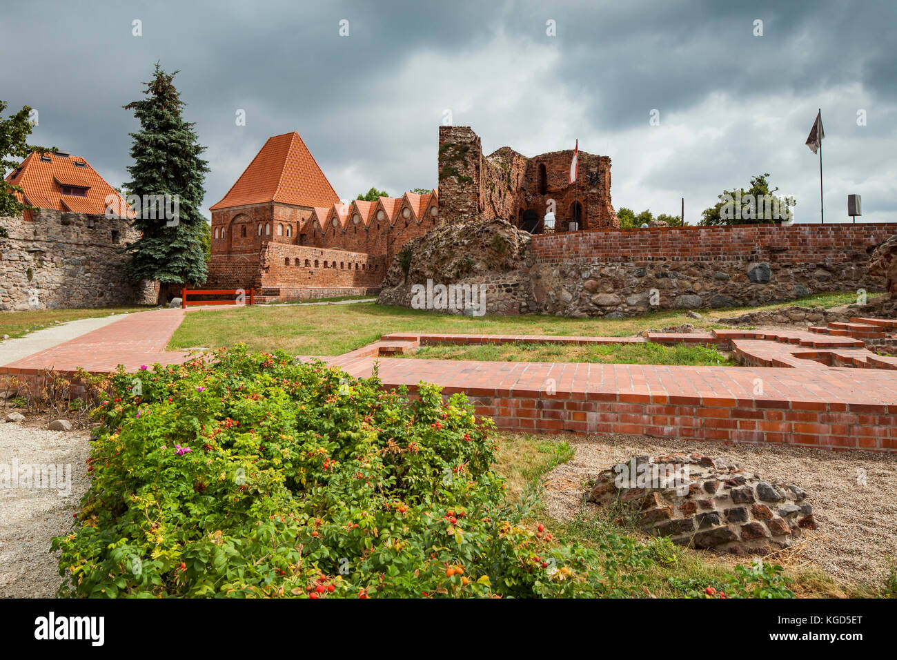 Rovine del castello teutonico a Torun. Foto Stock