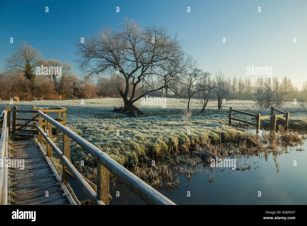 Inverno mattina nella campagna del Sussex. Foto Stock