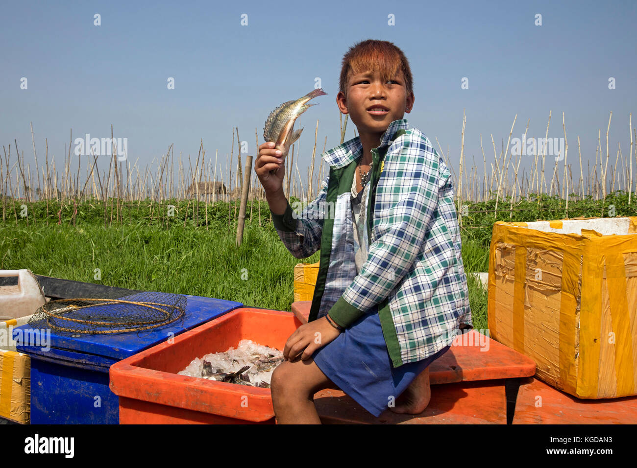Giovane ragazzo birmano che mostra il pescato in una piccola barca sul Lago Inle, nyaungshwe, stato shan, myanmar / BIRMANIA Foto Stock