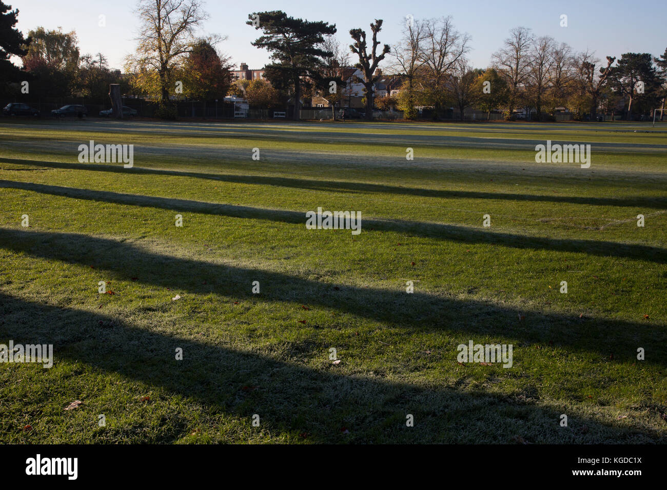 Linee di alberi gettano ombre attraverso campi da calcio in erba ghiacciata al parco ricreativo di Dundonald in una fredda mattina d'autunno, Southwest London, England, UK Foto Stock