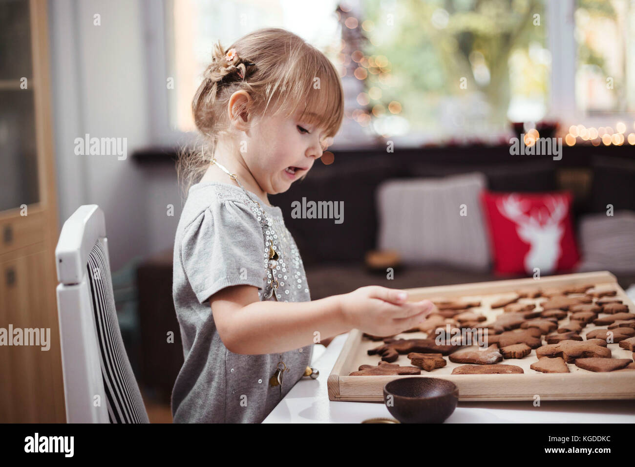 Bambina la decorazione di Natale biscotti allo zenzero con glassa. Luce naturale, profondità di campo Foto Stock