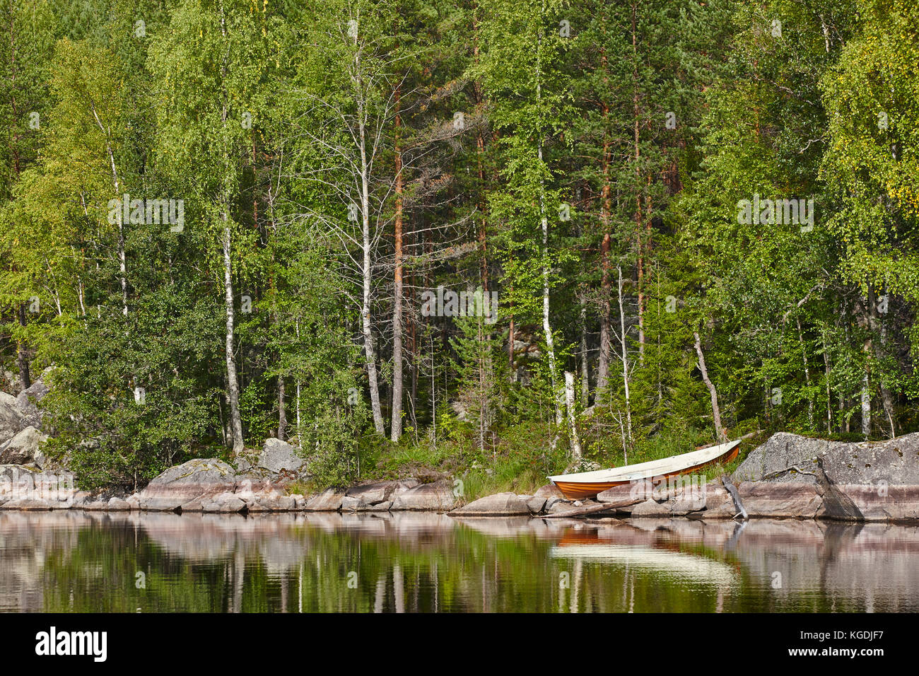 Paesaggio finlandese con il lago e la foresta a enonkoski area. Finlandia Foto Stock