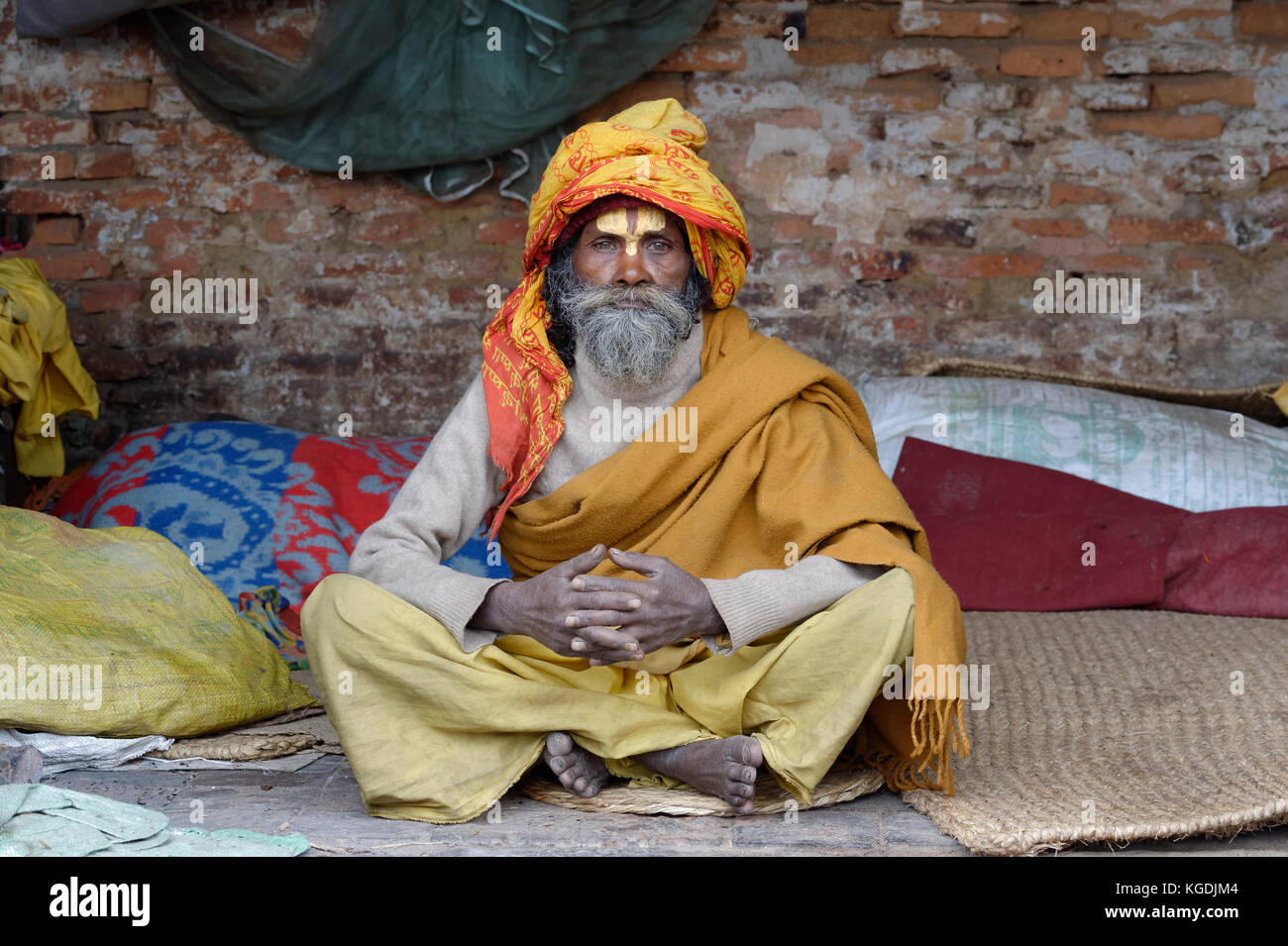 Indù, Sadhu, santo uomo, tempio di Pashupatinath, Kathmandu, Nepal Foto Stock