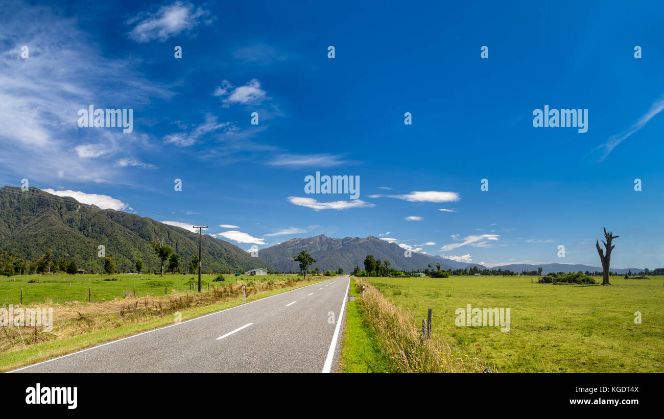 Strada diritta attraverso il pascolo in Nuova Zelanda con la gamma della montagna in background Foto Stock