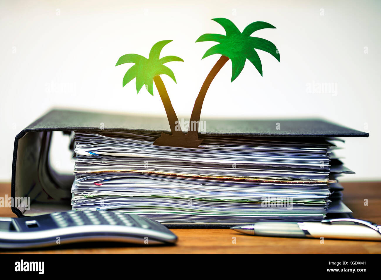 Carta Palm tree e il file nella cartella documenti di paradiso Foto Stock