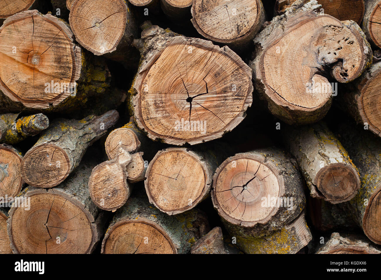 Modello di legna da ardere. Pila di tronchi di legno accatastato. Concetto di inquinamento ambientale, ispirazione invernale, struttura igge. Sfondo o sfondo. Foto Stock