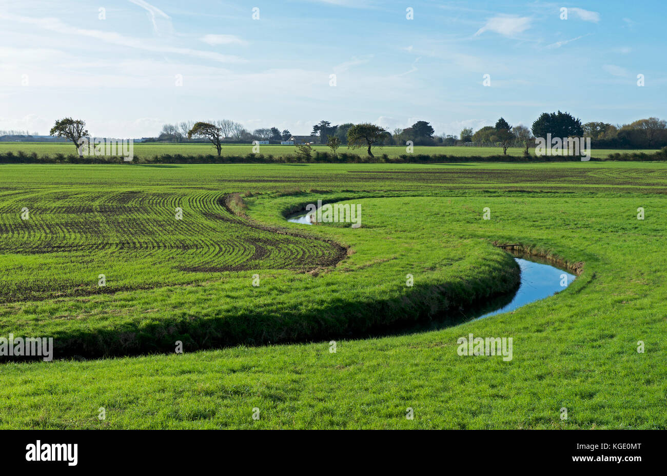 Pagham Harbour, un RSPB riserva naturale, West Sussex, in Inghilterra, Regno Unito Foto Stock Pagham Harbour, un RSPB riserva naturale, West Sussex, in Inghilterra, Regno Unito Foto Stock
