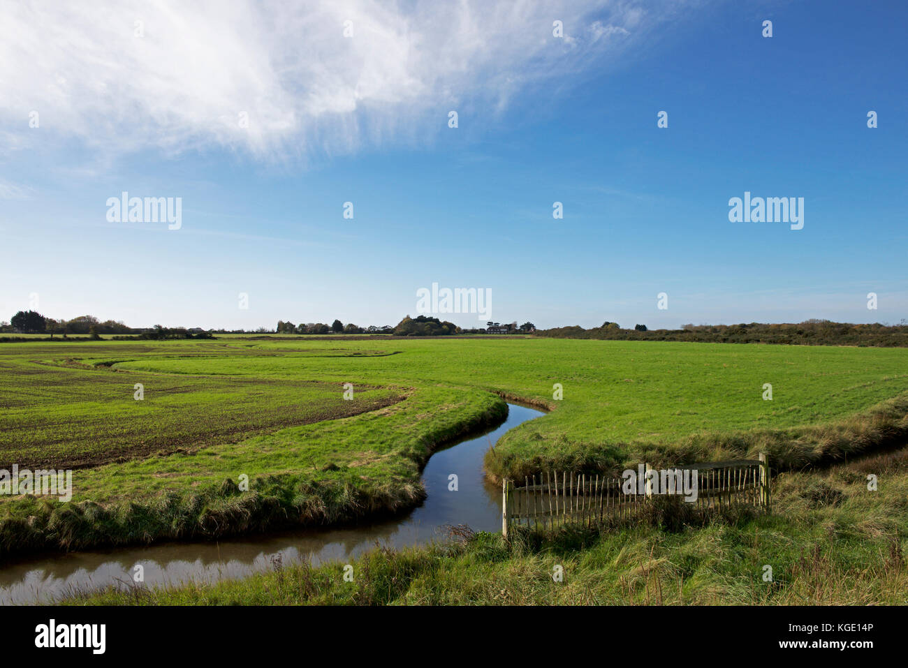Pagham Harbour, un RSPB riserva naturale, West Sussex, in Inghilterra, Regno Unito Foto Stock Pagham Harbour, un RSPB riserva naturale, West Sussex, in Inghilterra, Regno Unito Foto Stock