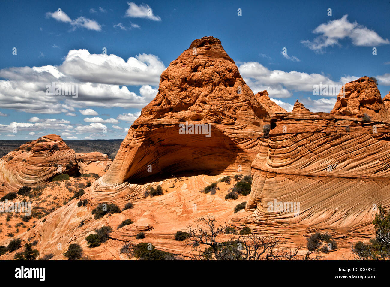 La tasca di bianco in Arizona. Foto Stock