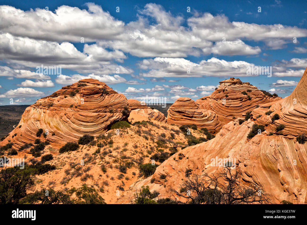 La tasca di bianco in Arizona. Foto Stock